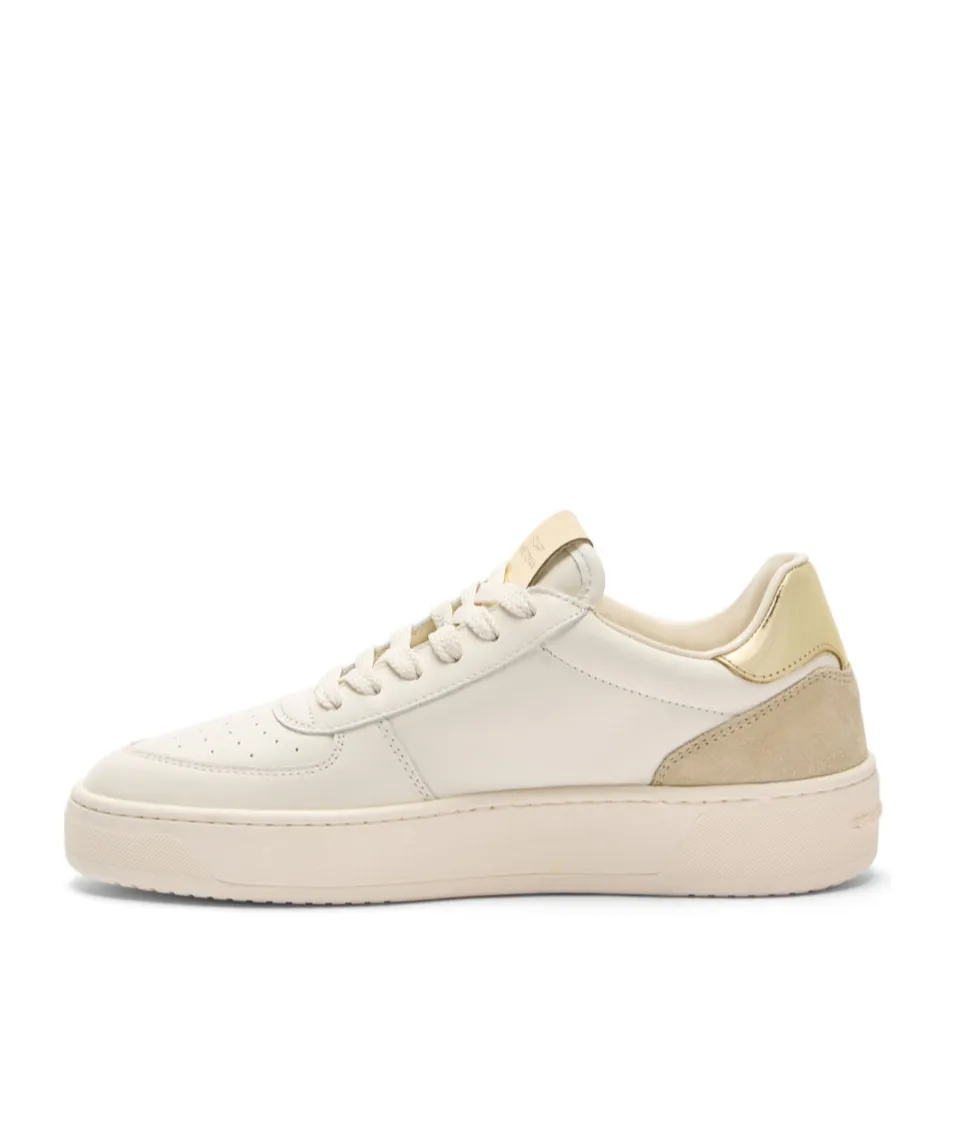 Sw Courtside Monogram Sneaker