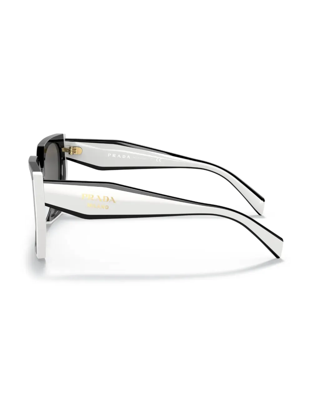 Butterfly Frame Sunglasses