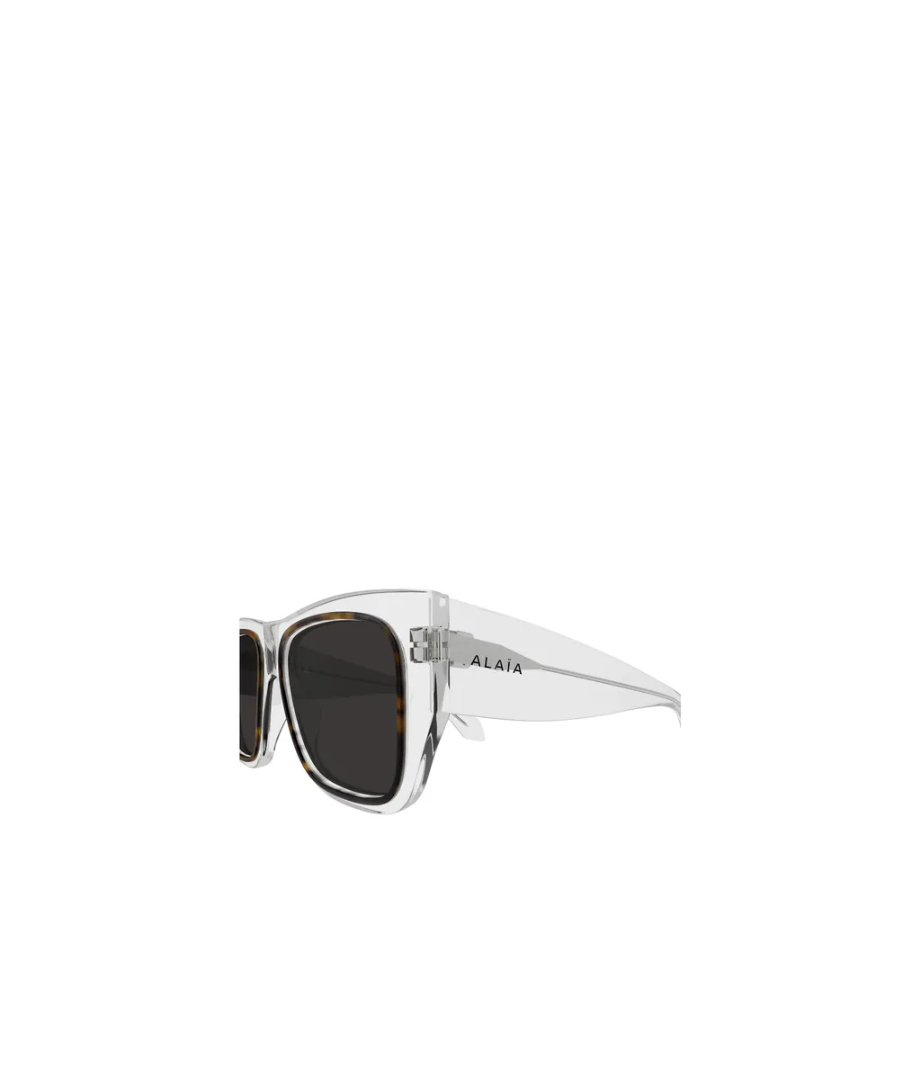 Full Frame Sunglasses