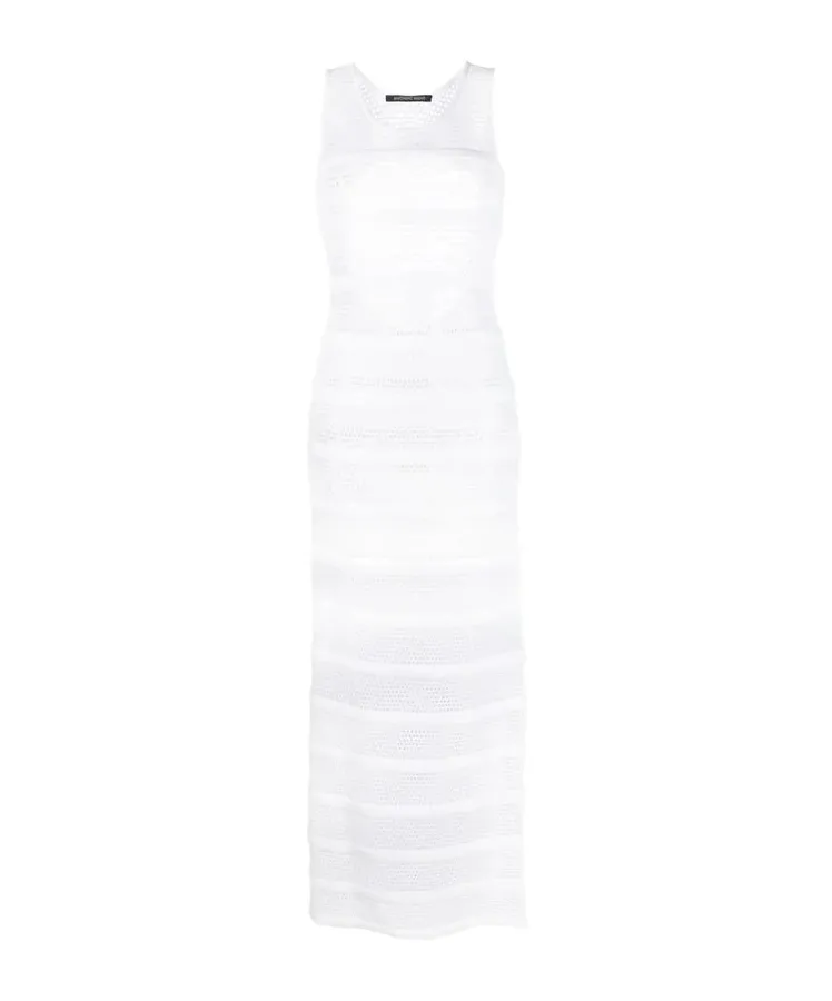 Netted Dress