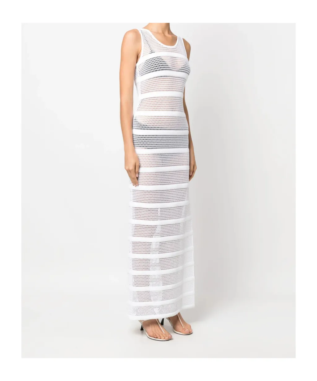 Netted Dress