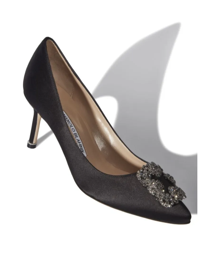 Manolo Blahnik Hangisi Pointed-Toe Pumps