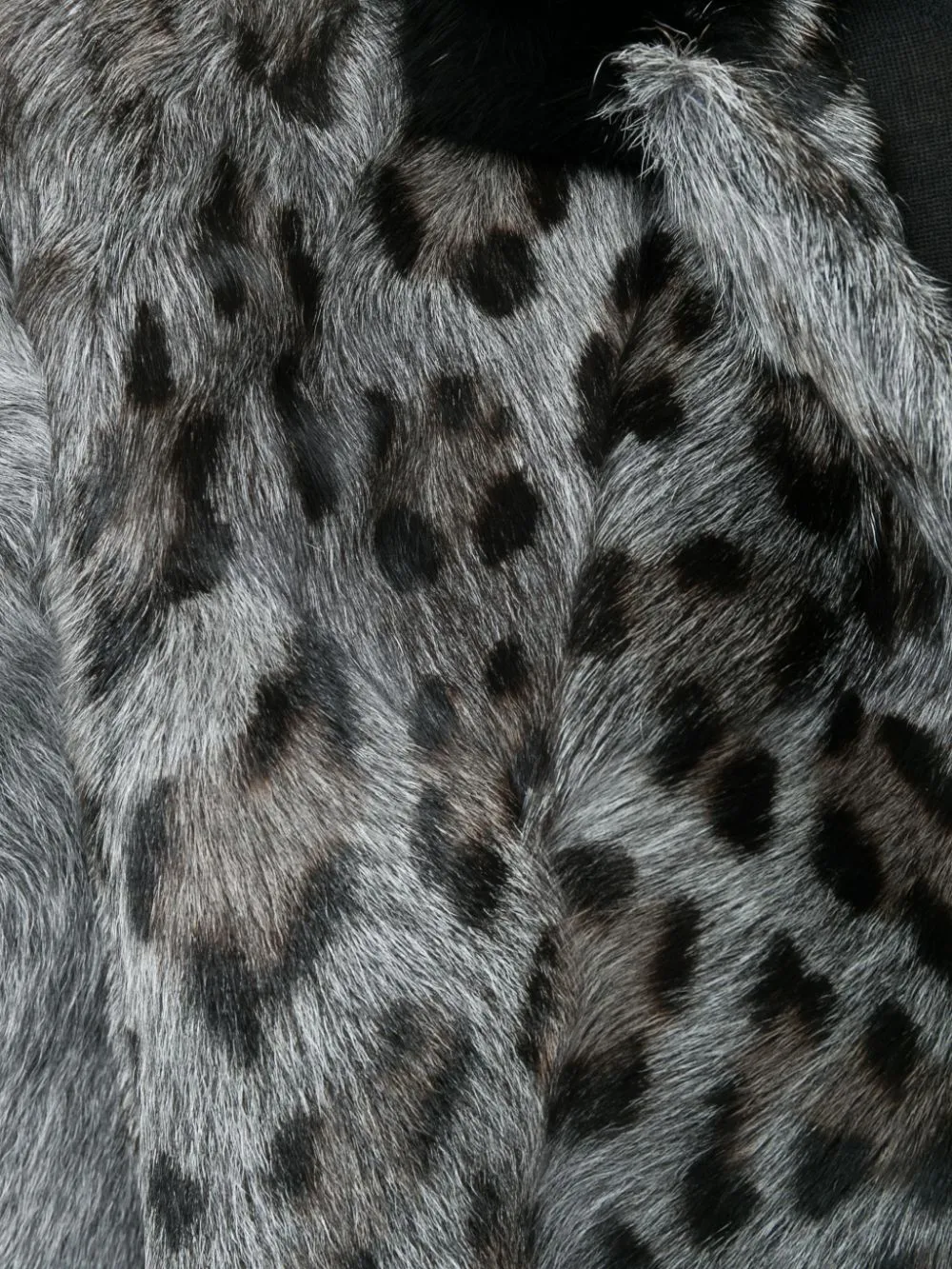Leopard Coat