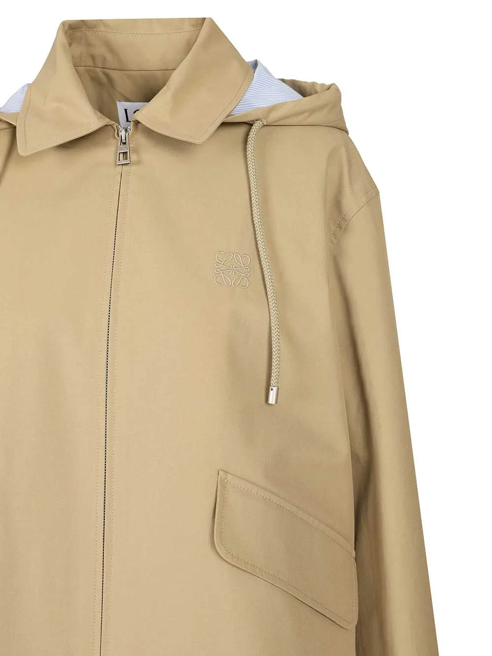Long Sleeve Hooded Jacket