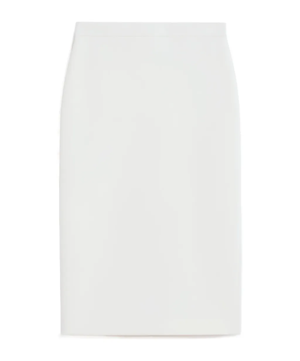 Max Mara Pencil Skirt