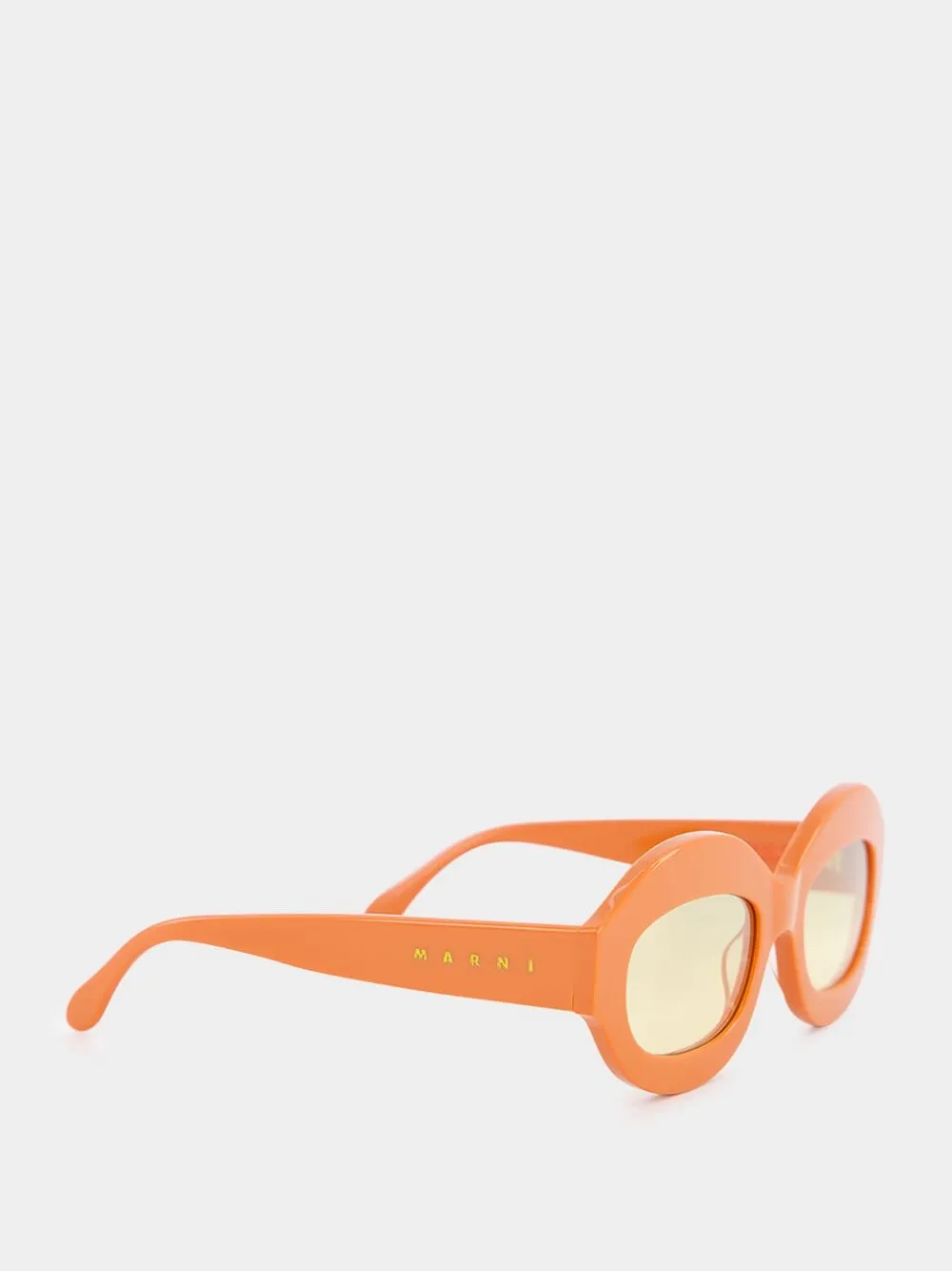 Full Frame Sunglasses