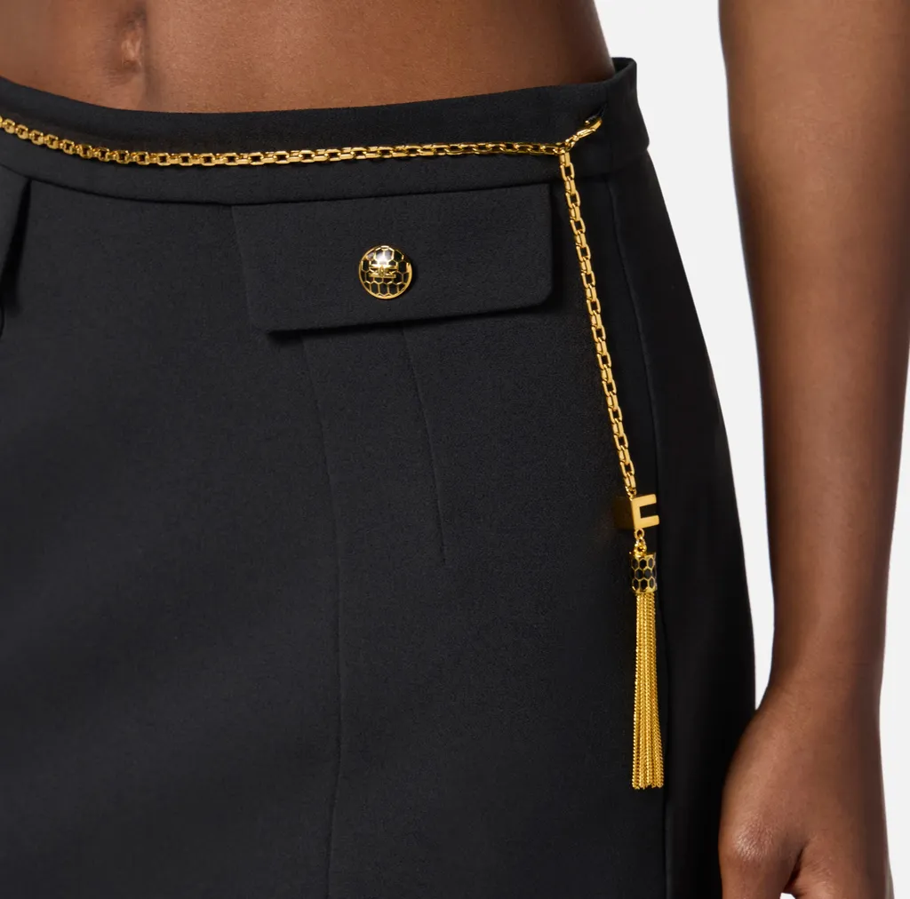 Elisabetta Franchi Chain Embellished Mini Skirt