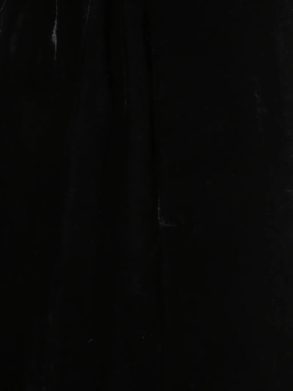 Peserico Wide-Leg Velvet Pants