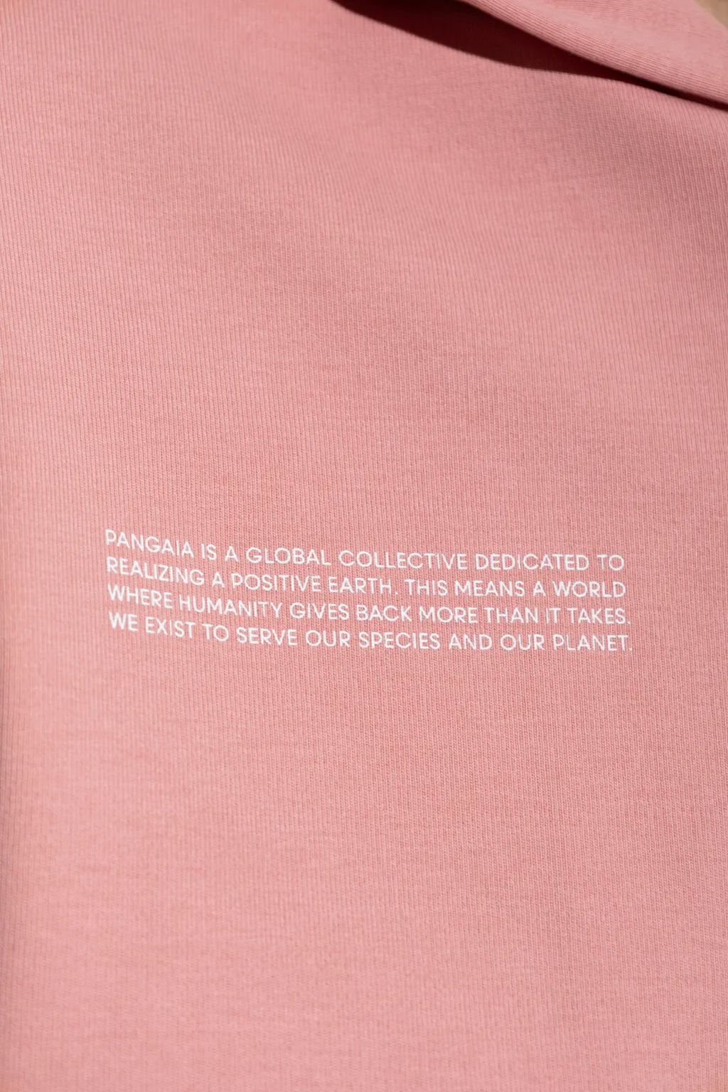 Hooded Sweatshirt