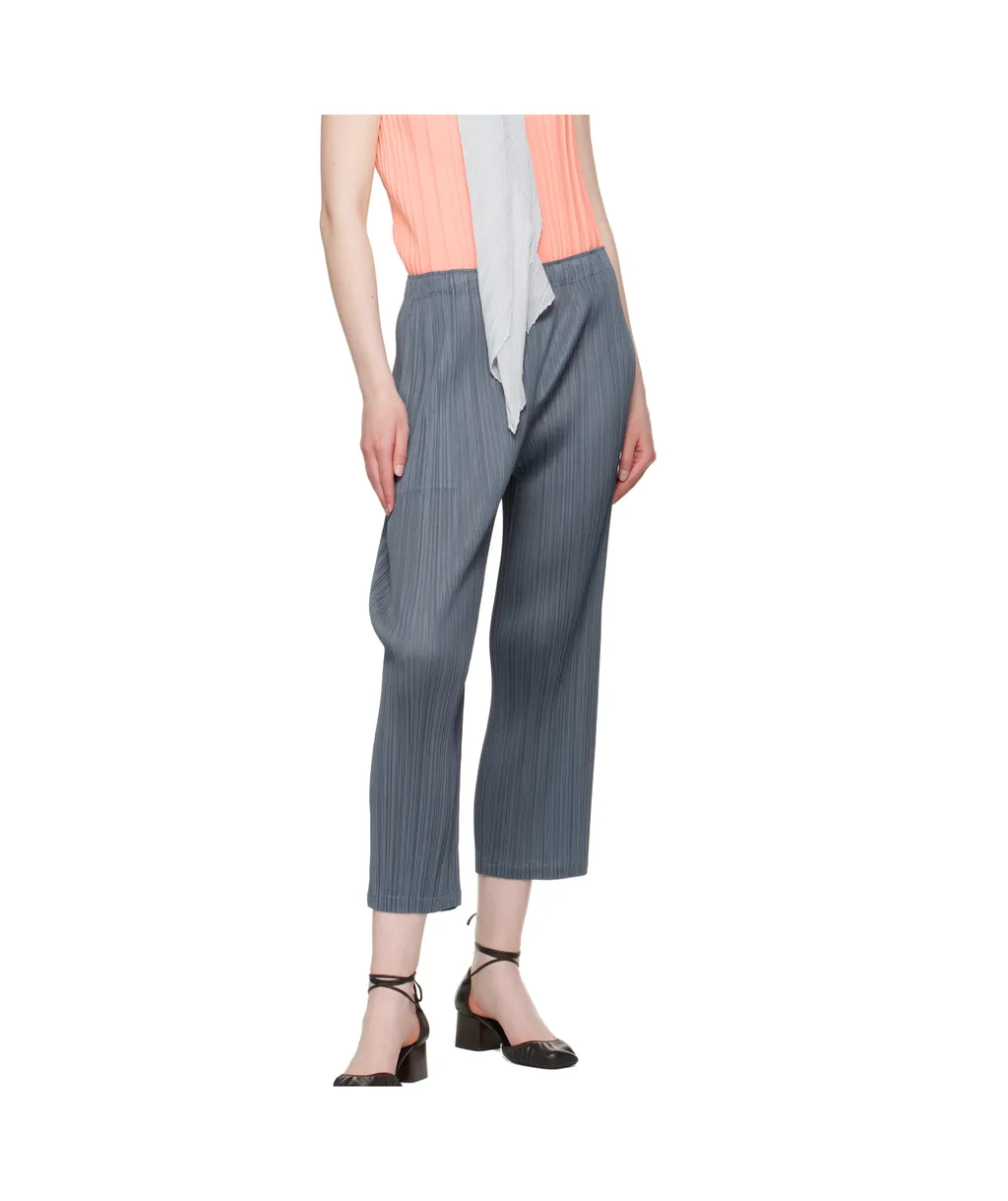 Pleated Trousers