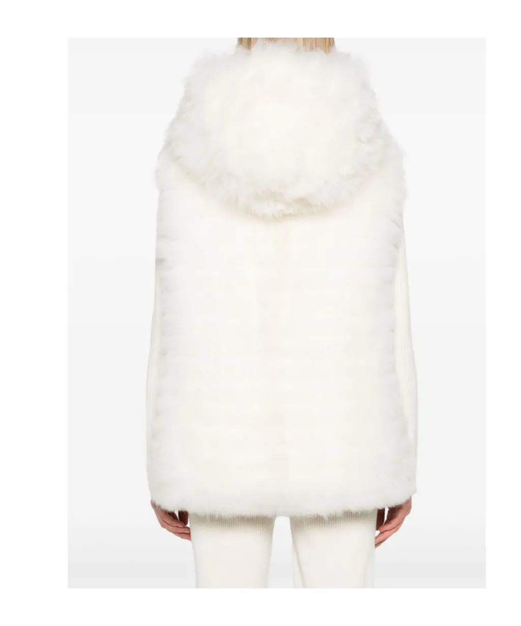 Hooded Down Vest
