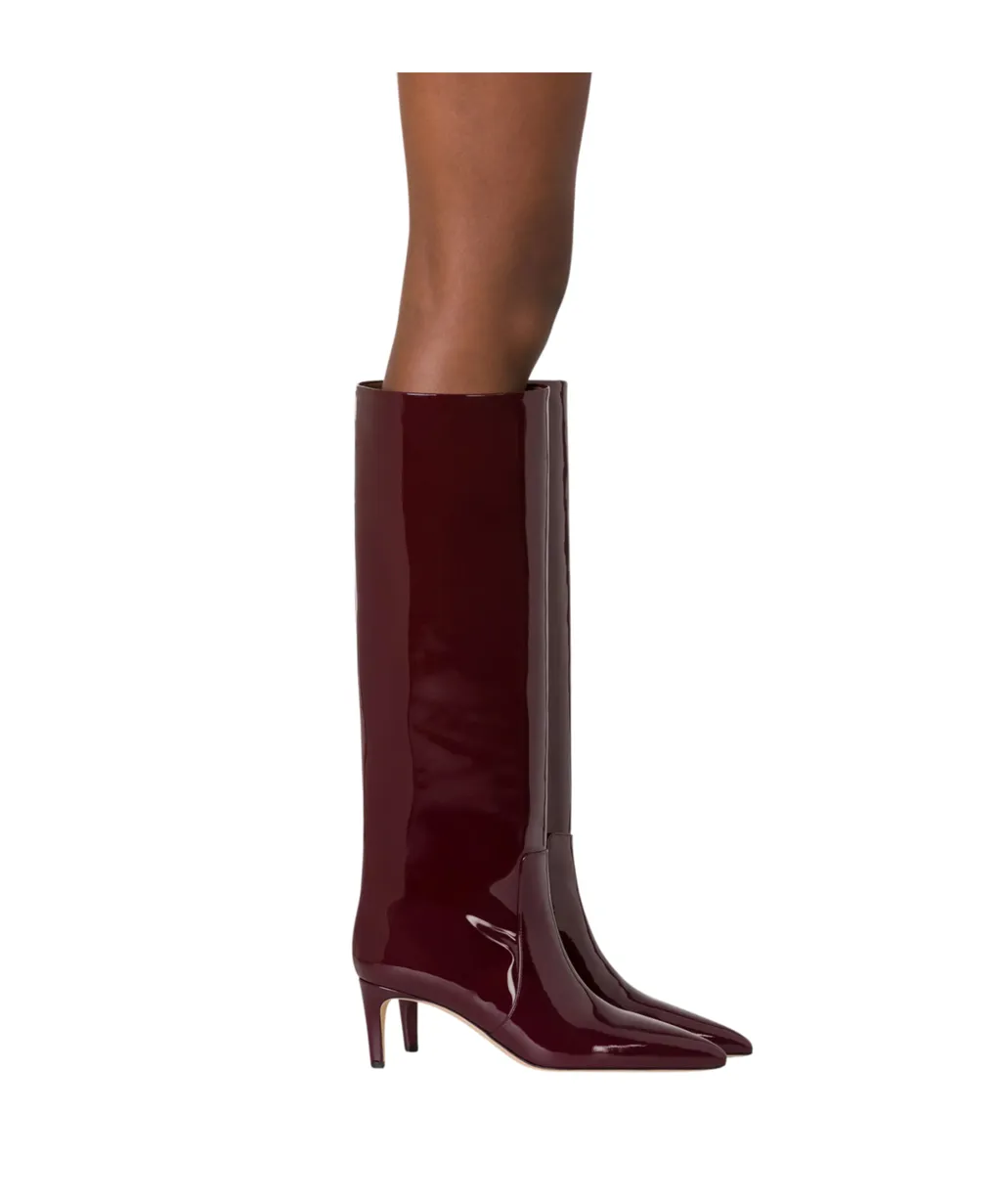 Paris Texas Pointed Toe Knee-High Boots