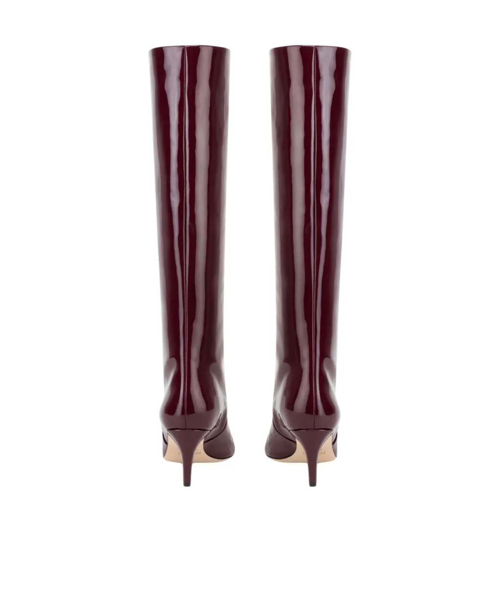 Paris Texas Pointed Toe Knee-High Boots
