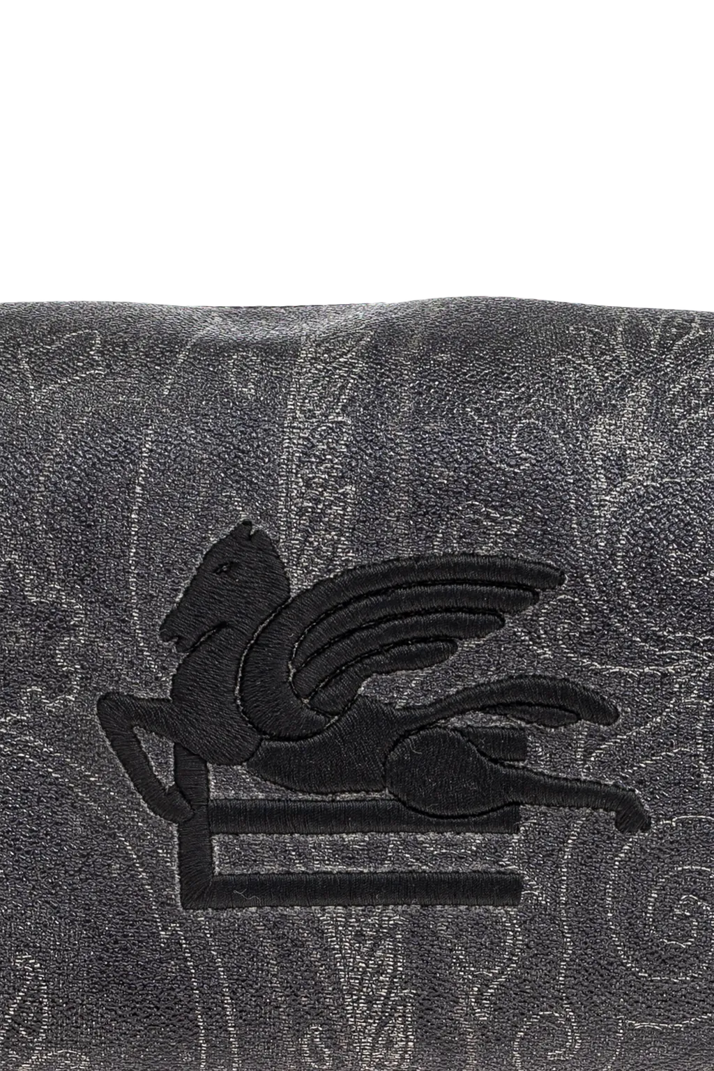 Etro Paisley Printed Pegaso Embroidered Wash Bag