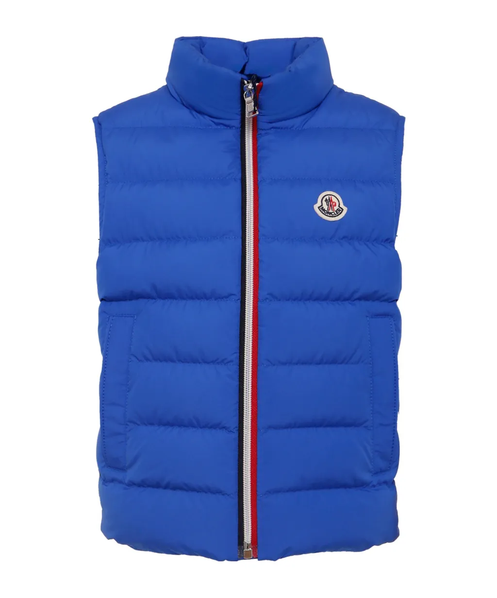 Ertavete Down Vest