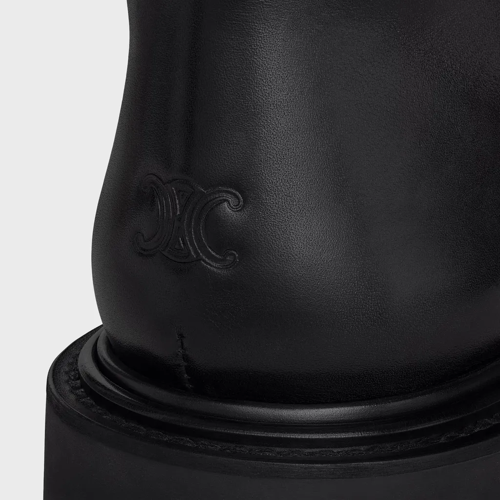 Celine Universite In Calfskin