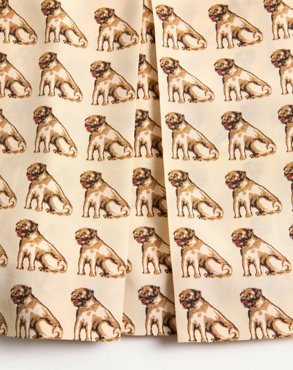 Crepe De Chine Skirt With Petit Charles Print