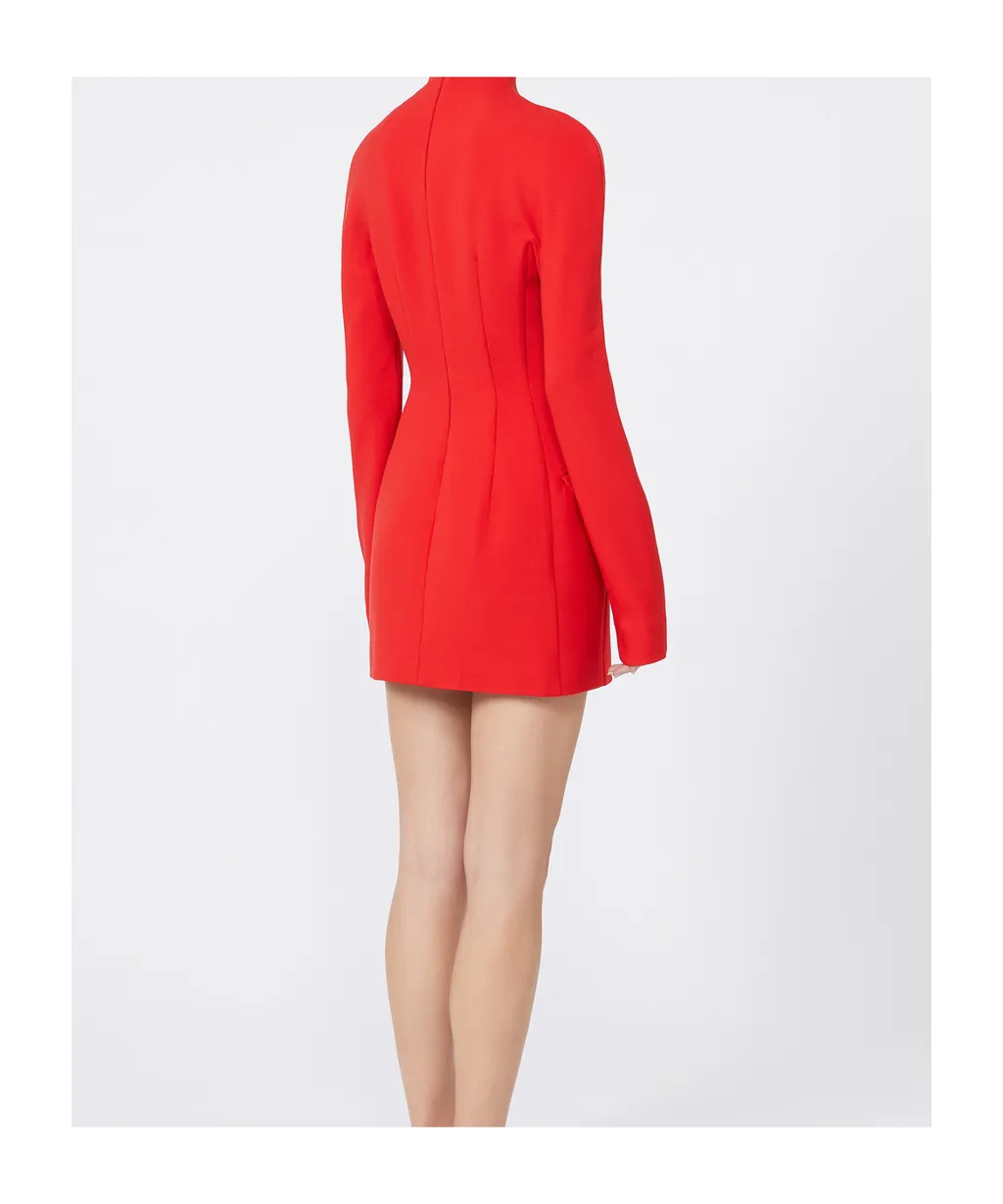 Sportmax Tefrite Long-Sleeved Mini Dress