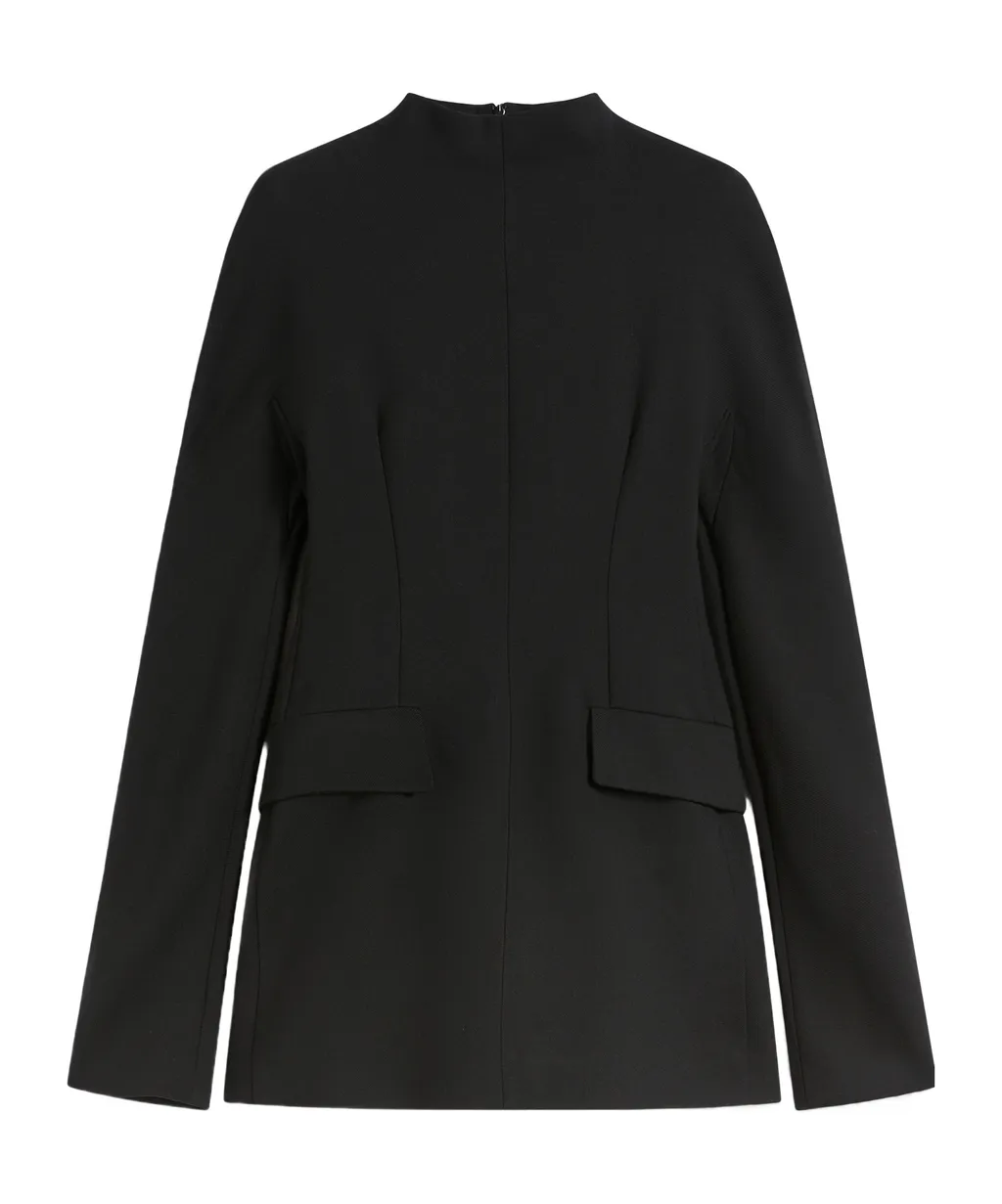 Sportmax Tefrite Long-Sleeved Mini Dress