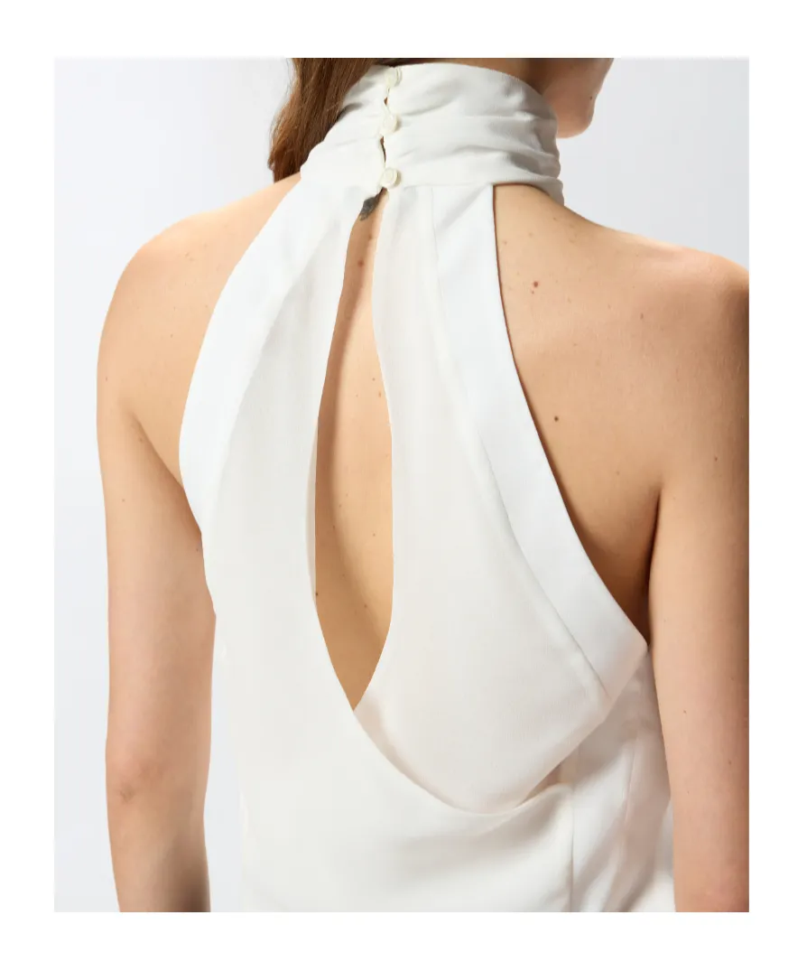 Pinko Rear Opening Halterneck Top