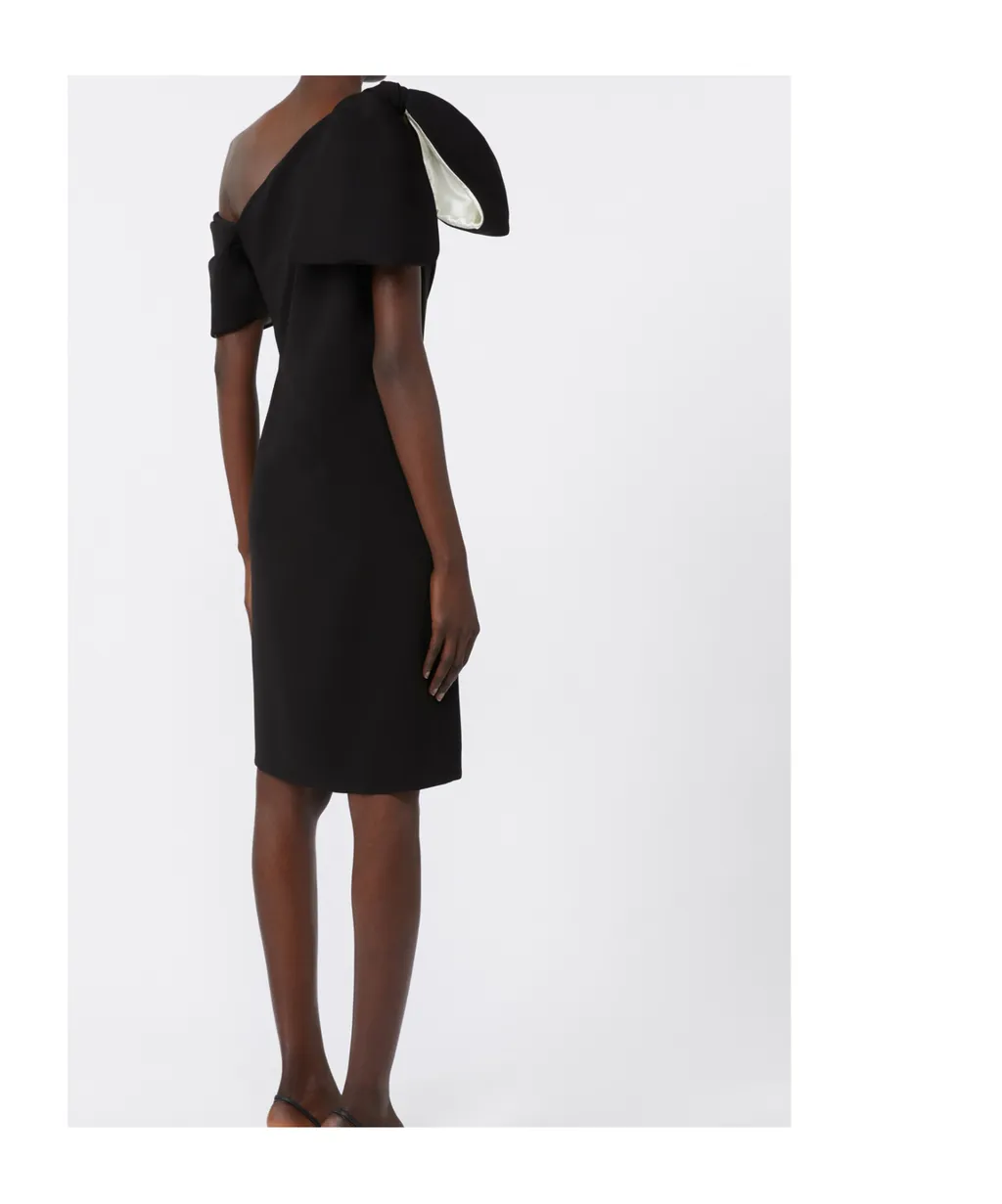 Max Mara Pianoforte Bow Detailed Mini Dress