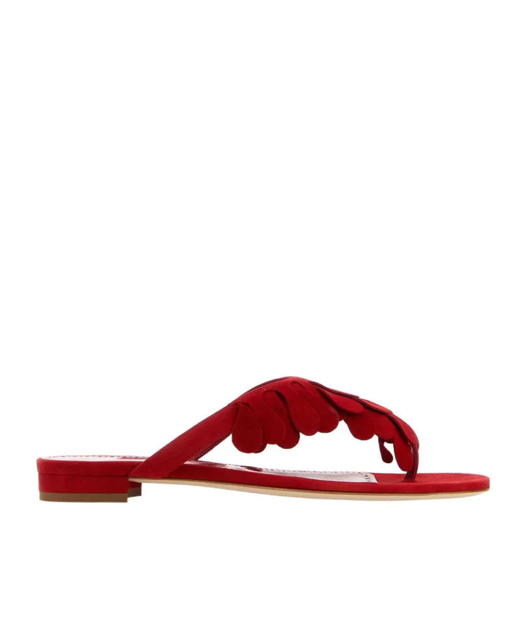 Manolo Blahnik Tamako Thong Slides