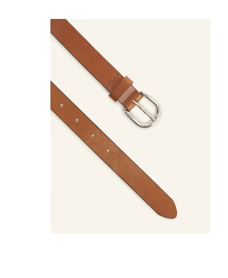 Zap Belt