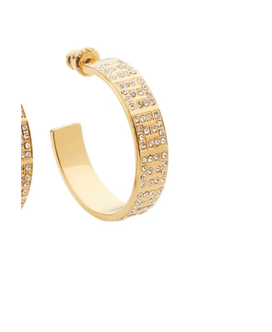 Gold-Coloured Earrings