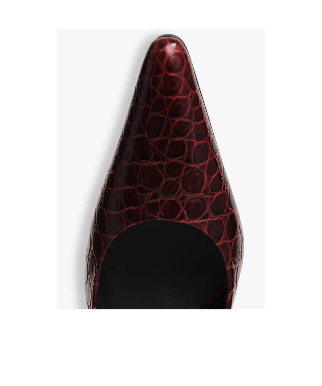 Pointed Toe Chunky Heels