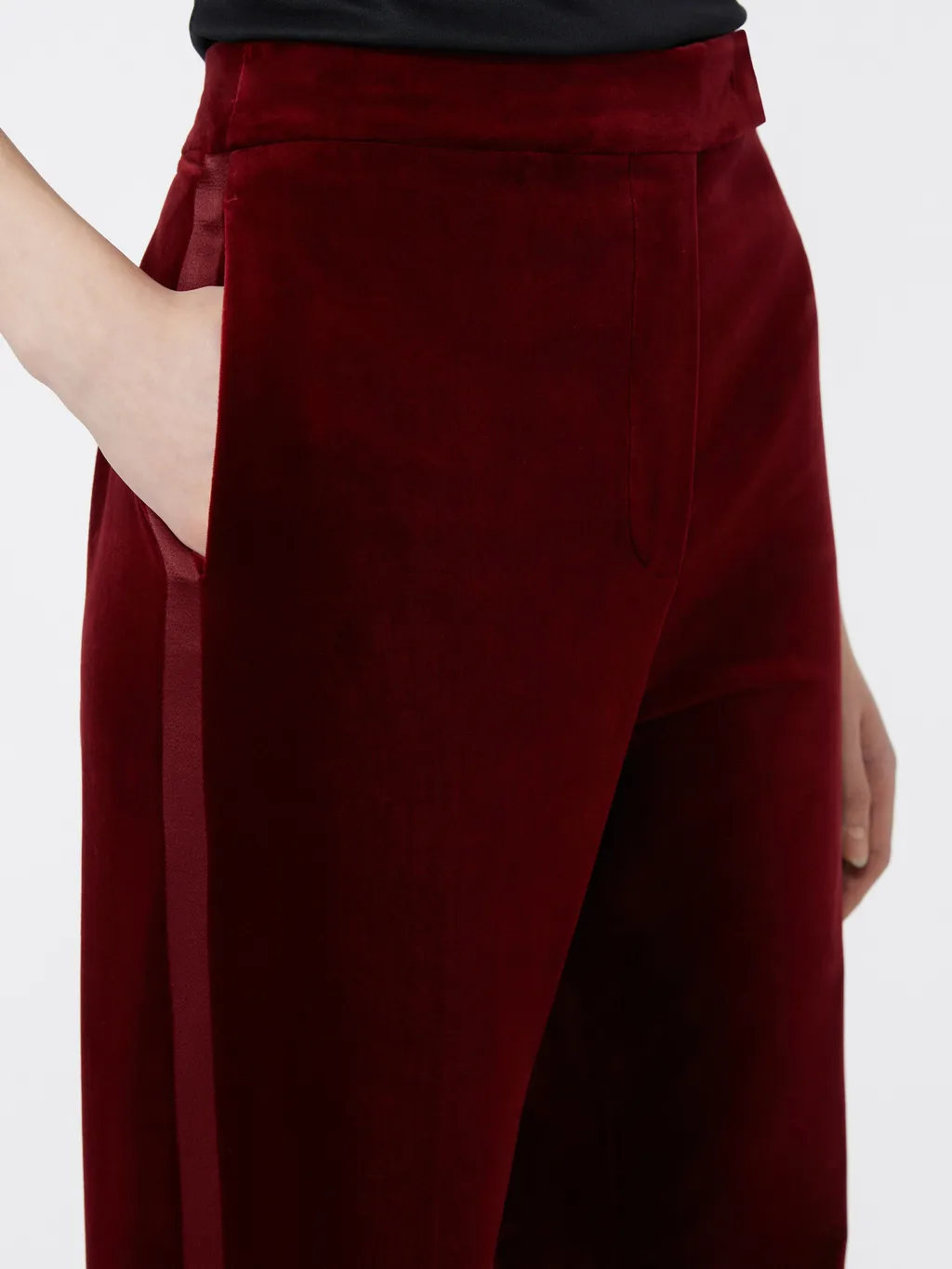 Velvet Dress Pants