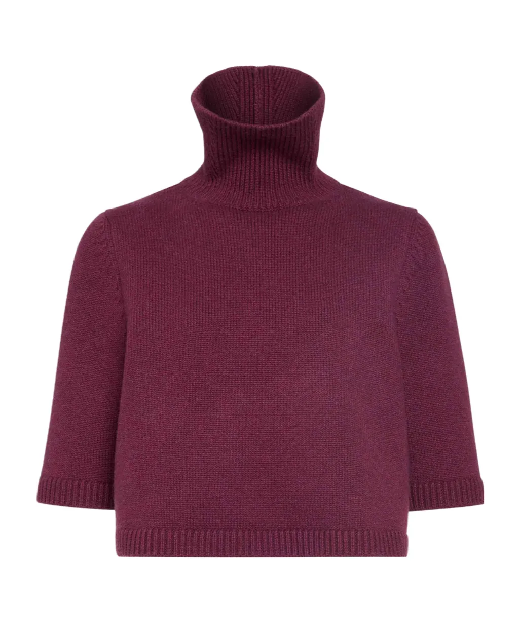AlaÏA Knit Cropped Jumper