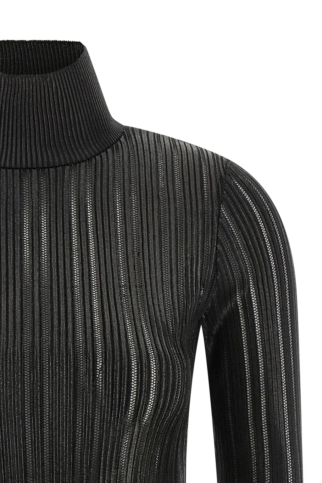 Elisabetta Franchi Long-Sleeved Roll-Neck Jumper