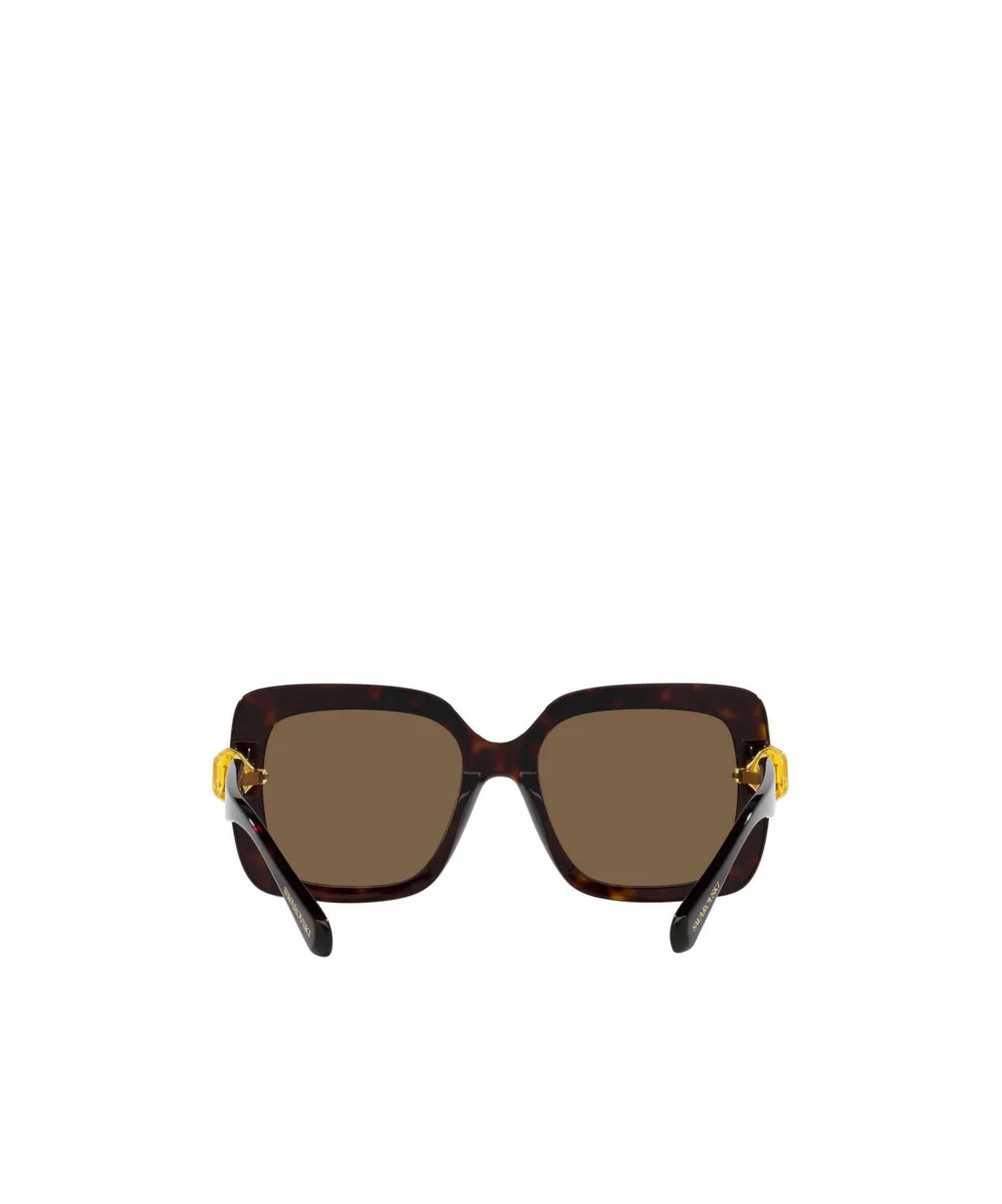 Logo Full-Rim Sunglasses