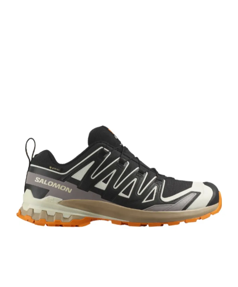Xa Pro 3D V9 Gore-Tex