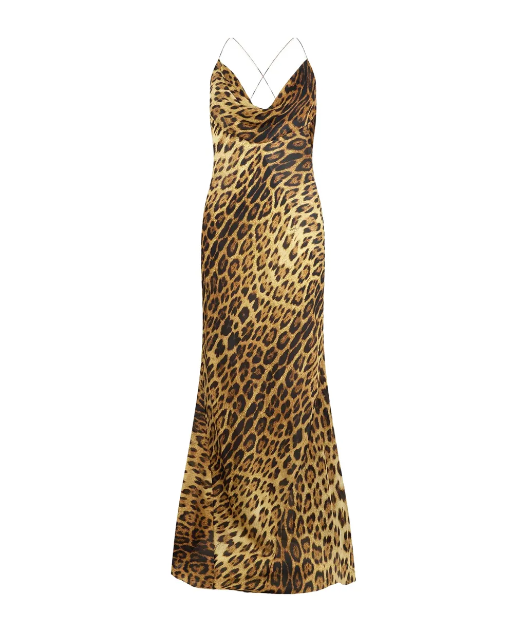 Roberto Cavalli Long Print Dress