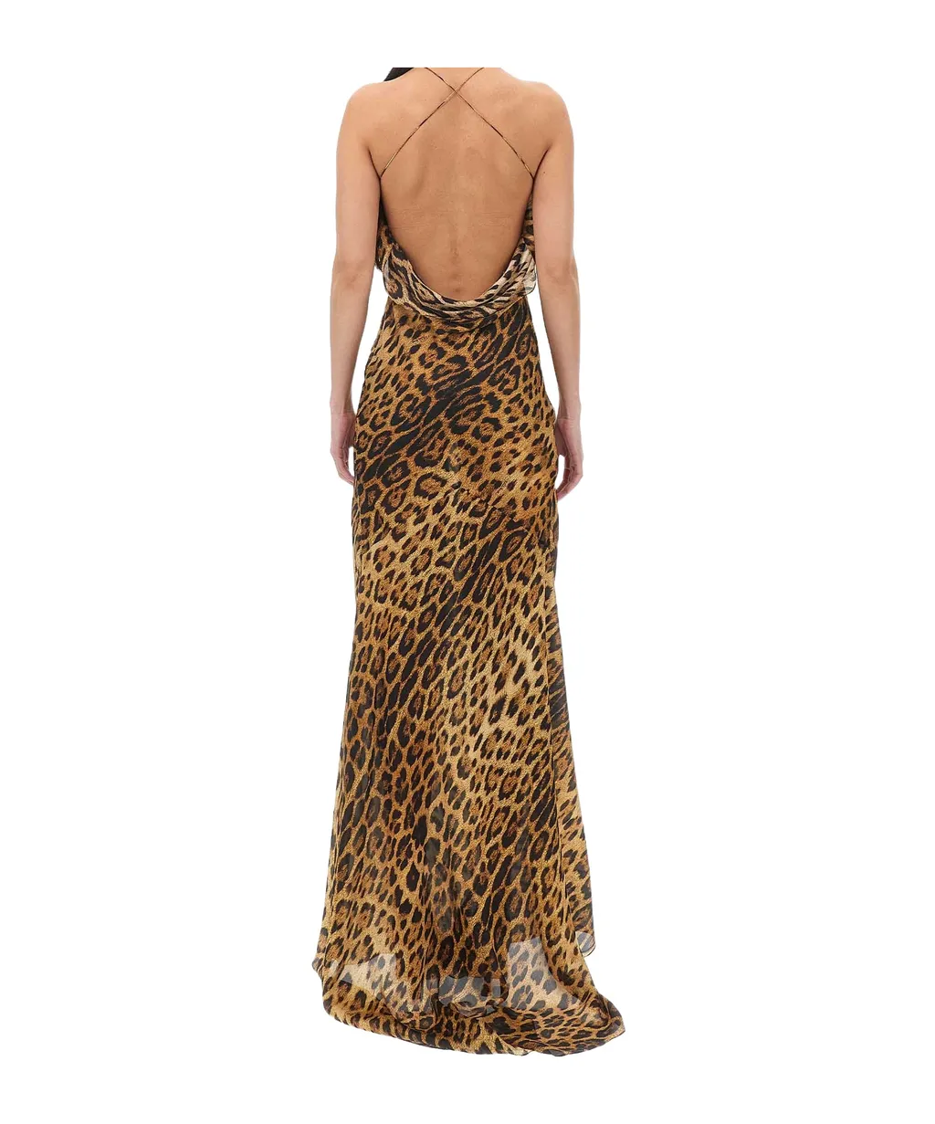 Roberto Cavalli Long Print Dress