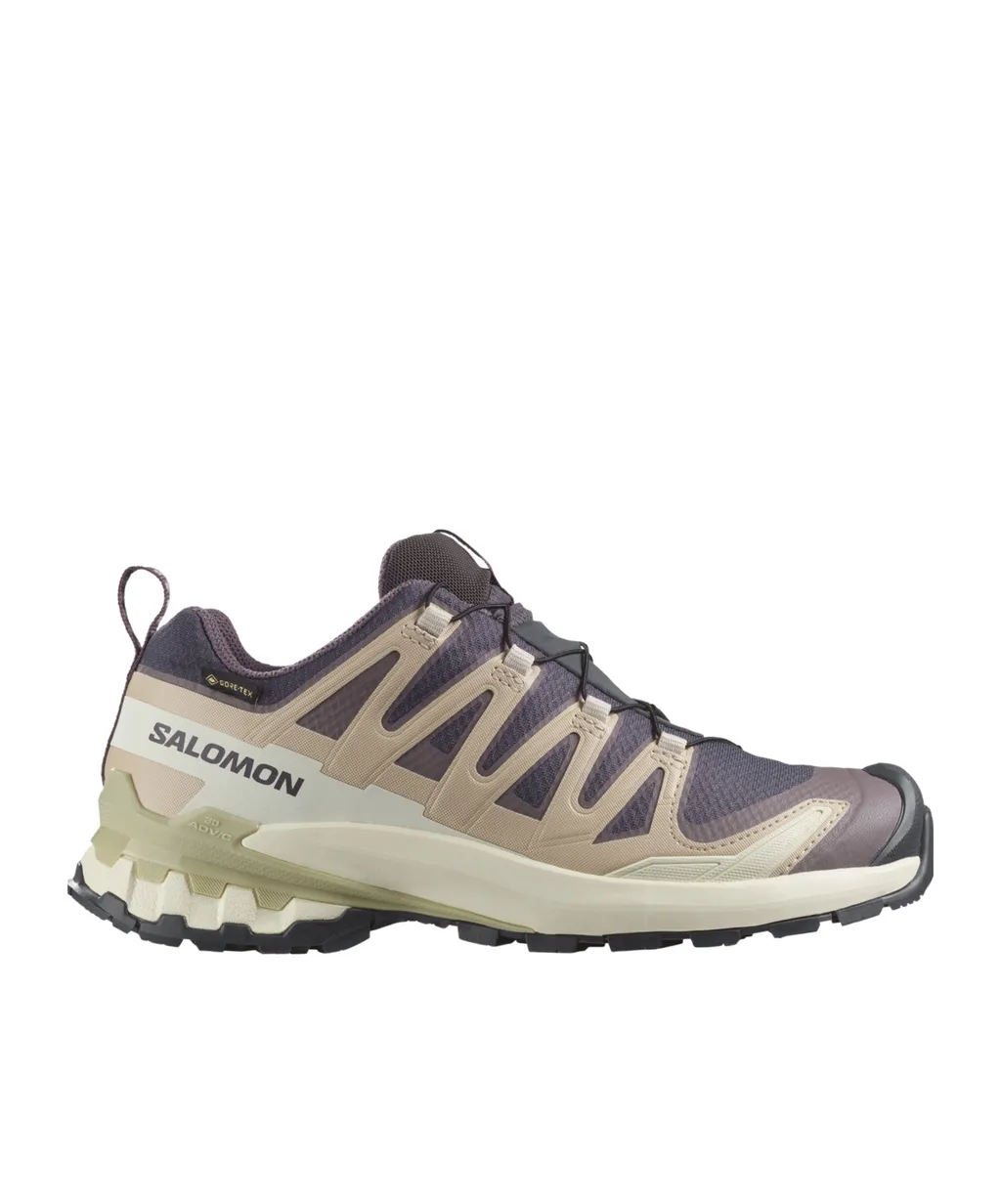 Xa Pro 3D V9 Gore-Tex