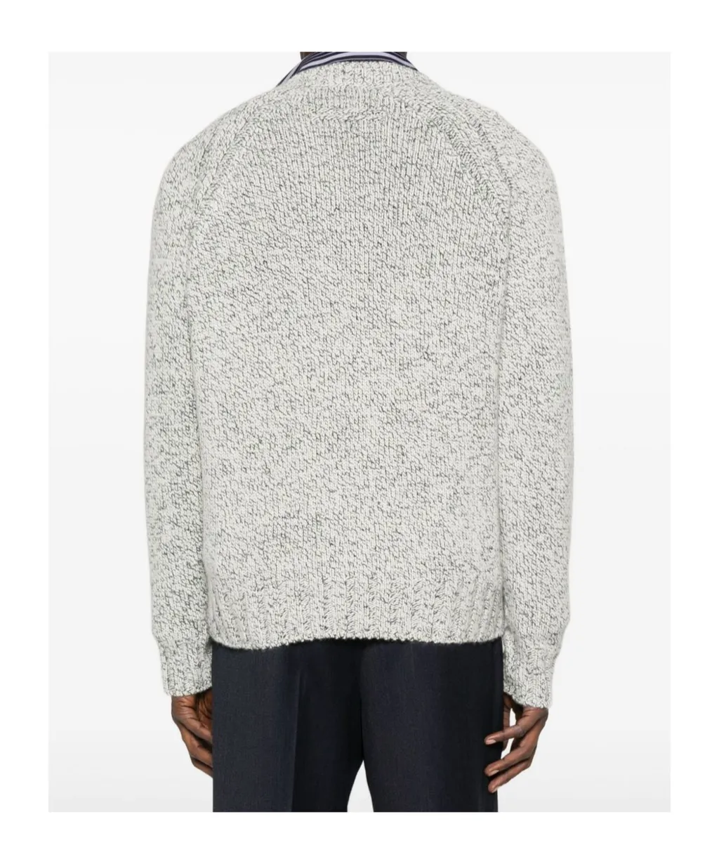 Speckled V-Neck Sweater