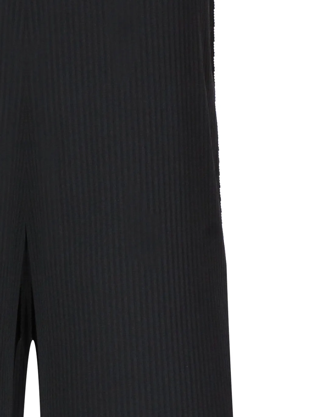 Pleated Trousers