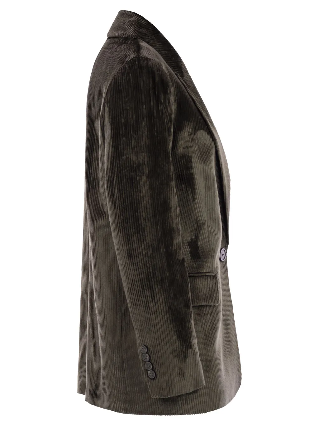 Peserico Velvet Striped Blazer