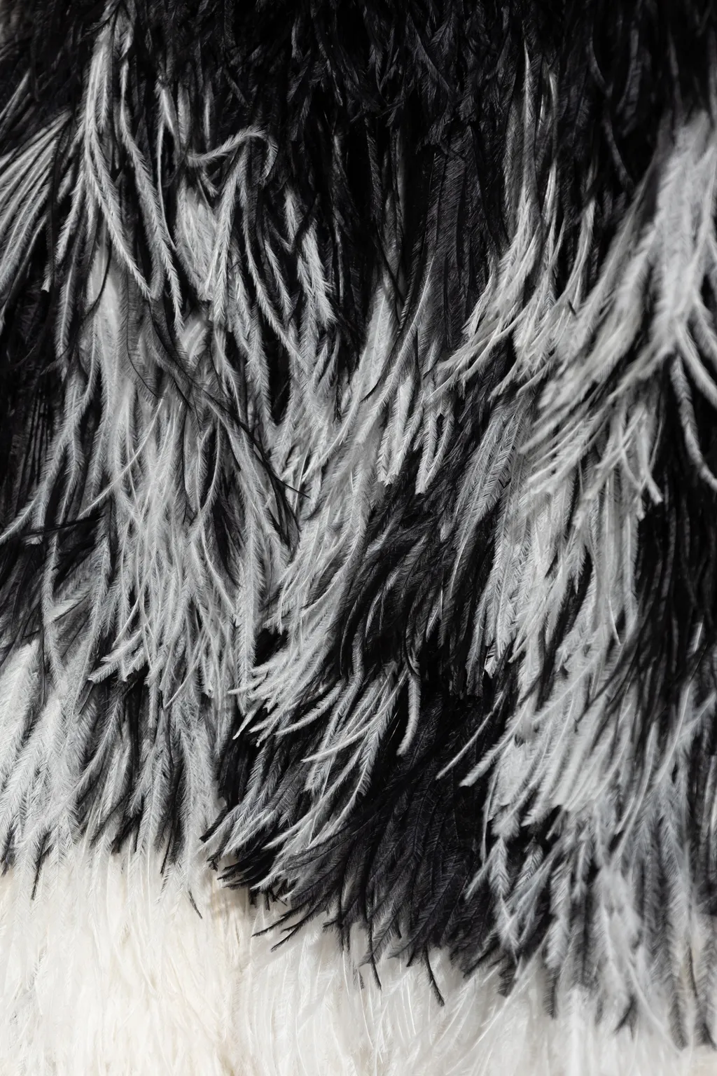 Feather-Trimmed Jacket