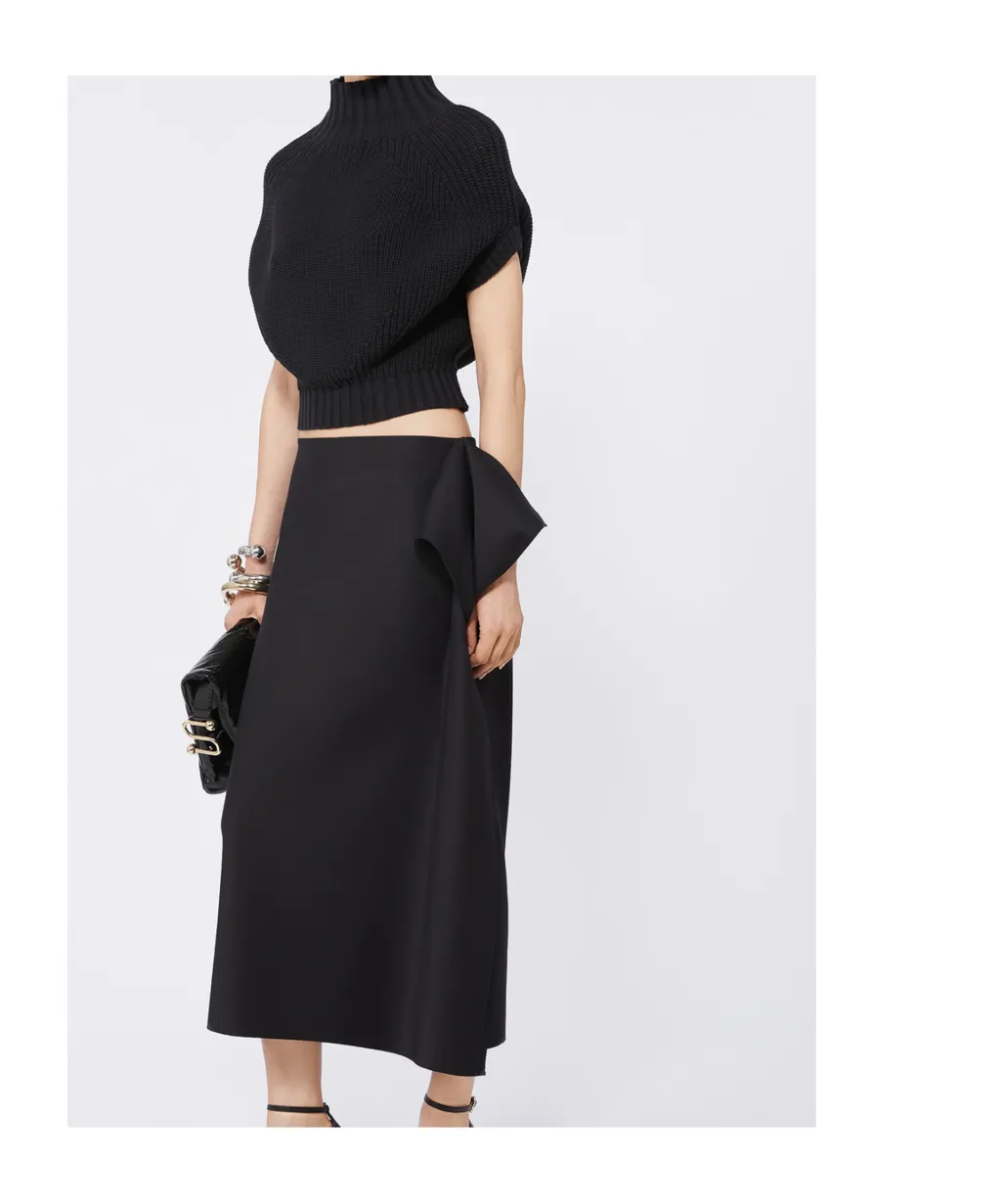 Ruffled Skirt