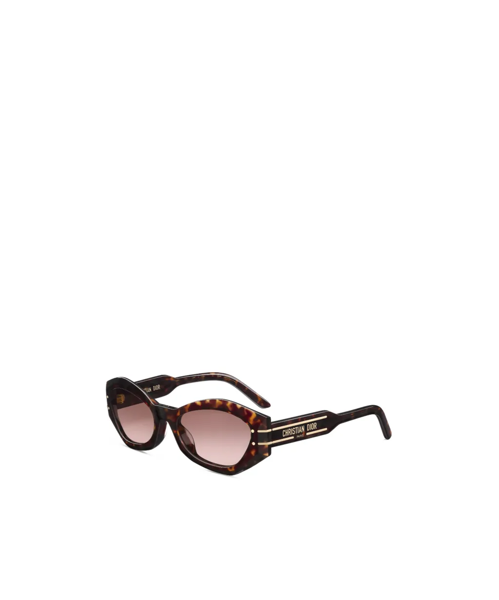 Diorsignature B1U