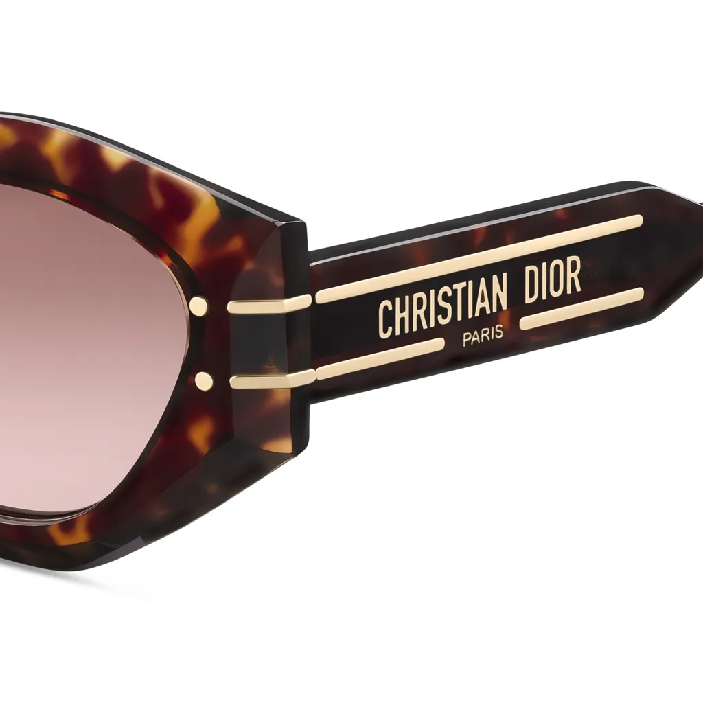 Diorsignature B1U