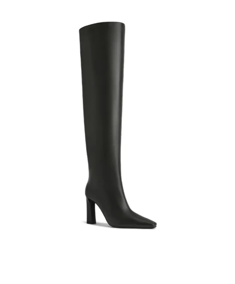 Giuseppe Zanotti Janiee Plus Over-The-Knee Boots
