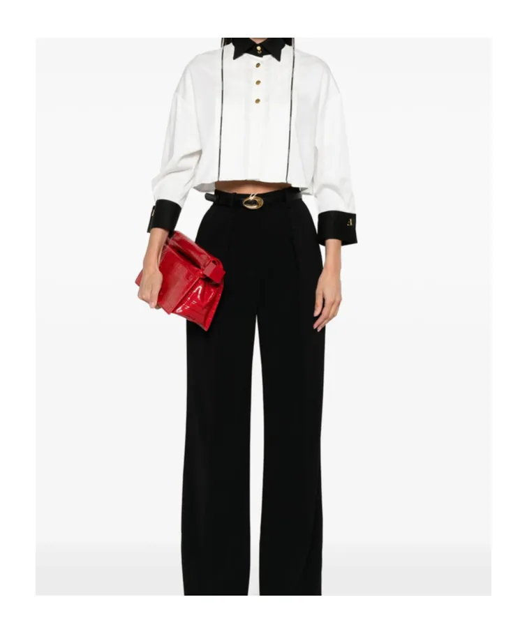 Pleated Shirt