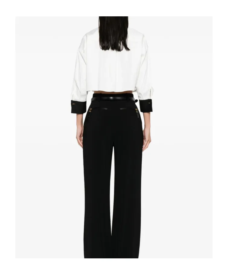 Pleated Shirt