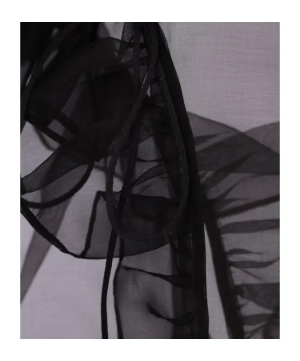 Cecilie Bahnsen Ruffled Organza Top