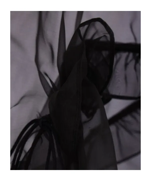 Cecilie Bahnsen Ruffled Organza Top