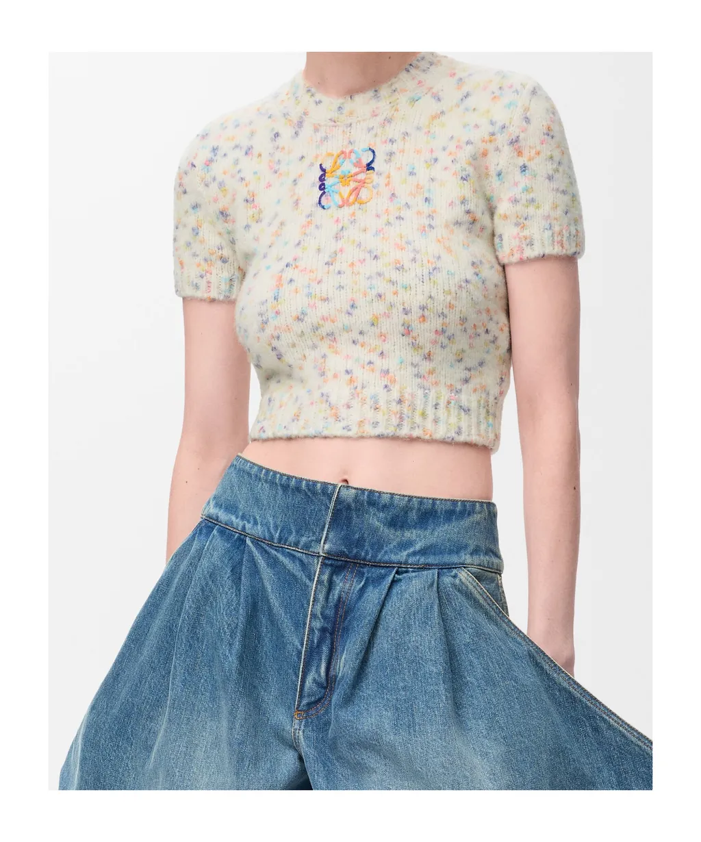 Loewe Short-Sleeved Sweater